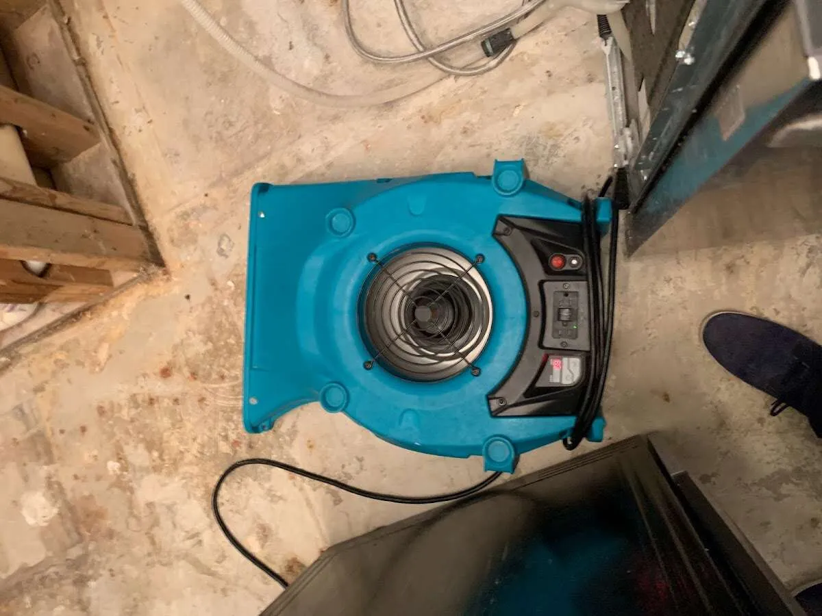 Air mover drying equipment for Mold Remediation & Removal in Roxbury